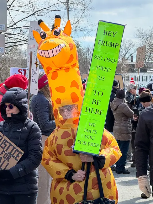 NK3 VT - St Johnsbury giraffe